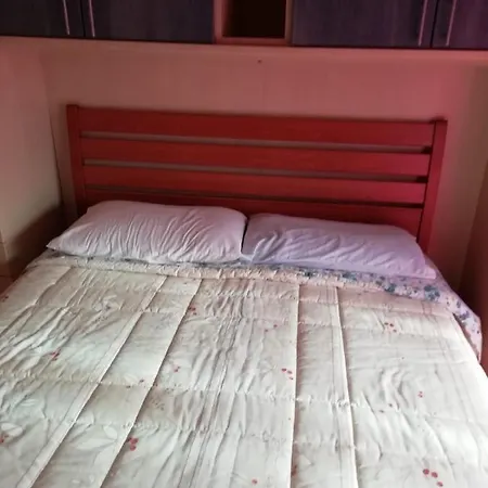 Petunia Guest house *